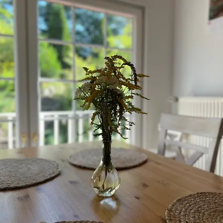 Апартаменты Flecken Zechlin